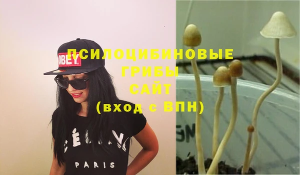 бошки Арсеньев