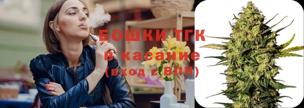 прущие грибы Осинники